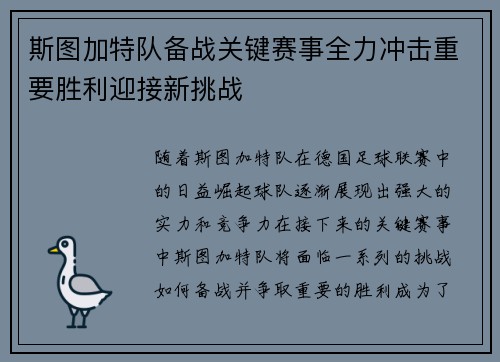 斯图加特队备战关键赛事全力冲击重要胜利迎接新挑战